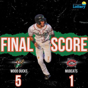 Image post by @gowoodducks on Instagram