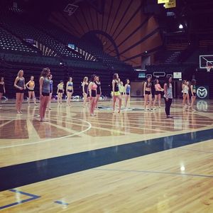 Image post by @csugoldenpoms on Instagram