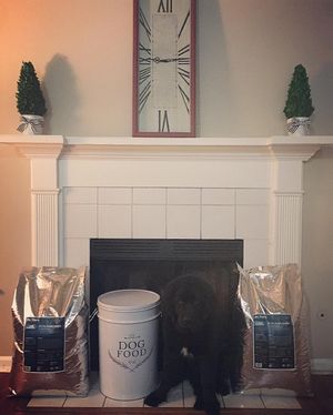 Image post by @nashthenewfie on Instagram