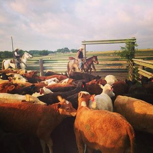 Image post by @farmcredit on Instagram
