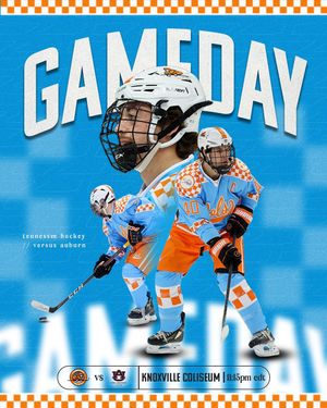 Image post by @tennesseehockey on Instagram