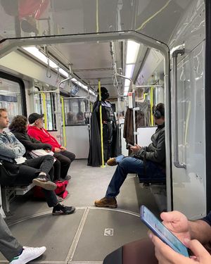 Image post by @calgary.wildin on Instagram