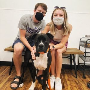 Image post by @spokhumanesoc on Instagram