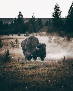 Image post by @unsplash on Instagram