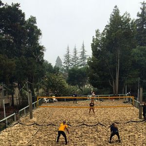 Image post by @calbeachvb on Instagram
