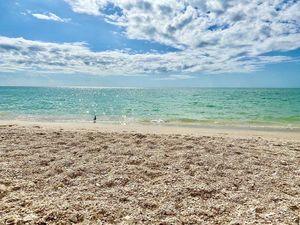 Image post by @visitsarasotacounty on Instagram