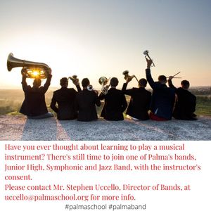 Image post by @palma_school on Instagram