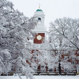 Image post by @harvardsb on Instagram