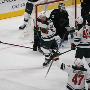Image post by @minnesotawild on Instagram