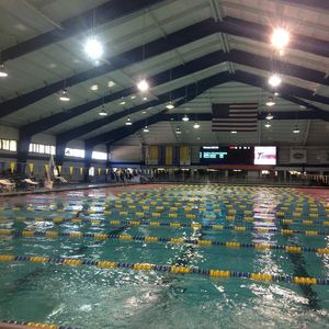 Image post by @nsu_swim on Instagram