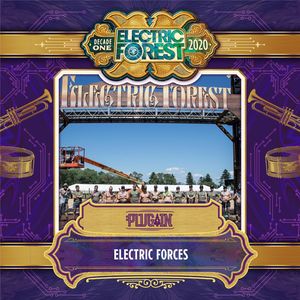 Image post by @electric_forest on Instagram