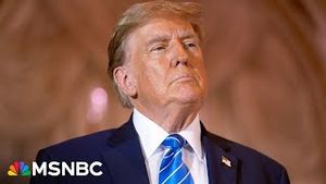 Video post by @msnbc on YouTube