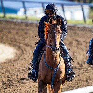 Image post by @myracehorse_ on Instagram