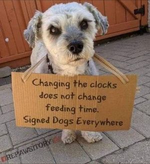 Image post by @bestforpetsmelb on Instagram