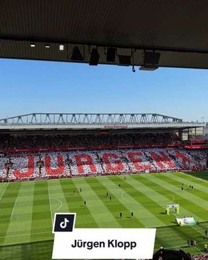 Video post by @lfcretail on TikTok