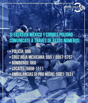 Image post by @calafoundation on Instagram