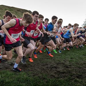 Image post by @bucssport on Instagram