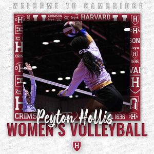 Image post by @harvardwvball on Instagram