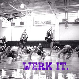 Image post by @lsutigergirls on Instagram