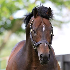 Image post by @spendthriftfarm on Instagram