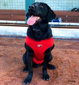 Image post by @aviatorslv on Instagram