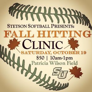 Image post by @stetsonsoftball on Instagram