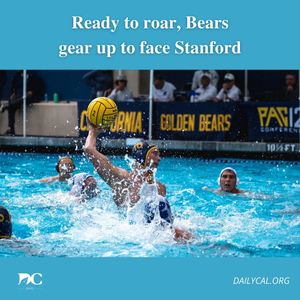Image post by @dailycalsports on Instagram