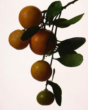 Image post by @fentybeauty on Instagram