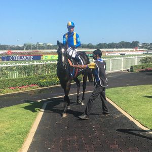 Image post by @australianturfclub on Instagram