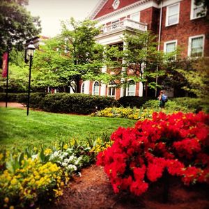 Image post by @elonuniversity on Instagram