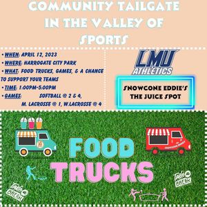 Image post by @lmurailsplitters on Instagram