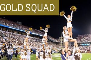 Image post by @gtcheerleading on Instagram