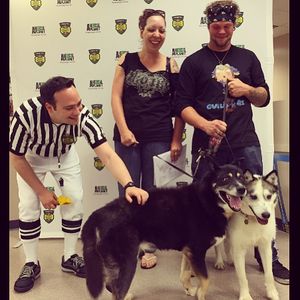 Image post by @animalplanet on Instagram