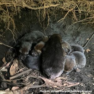 Image post by @centerforbiodiv on Instagram