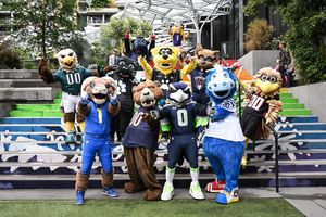Image post by @blitztheseahawk on Instagram
