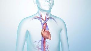 Video post by @nucleusmedicalmedia on YouTube