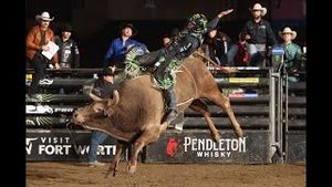 Video post by @pbr on YouTube