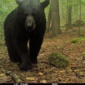 Image post by @uofnh on Instagram