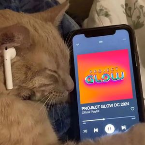 Image post by @projectglowfest on Instagram