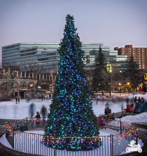 Image post by @cityofcalgary on Instagram