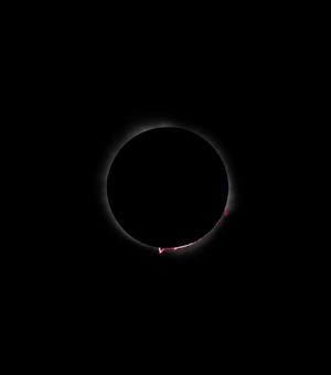 Image post by @macademicmedia on Instagram