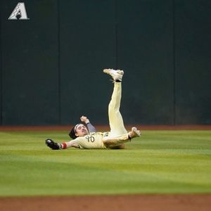 Image post by @dbacks on Instagram