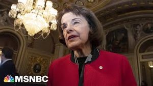 Video post by @msnbc on YouTube