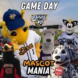 Image post by @burlington_bees on Instagram