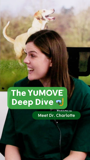 Image post by @YuMOVE.US on Facebook