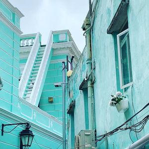 Image post by @alex_ander_salamander on Instagram