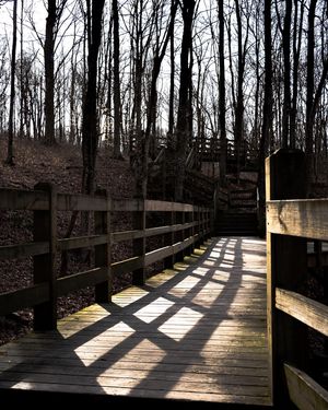 Image post by @proindypix on Instagram