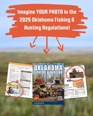 Image post by @okwildlifedept on Instagram