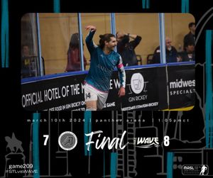 Image post by @stlouisambush on Instagram