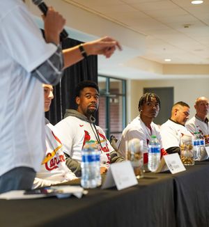 Image post by @memphisredbirds on Instagram